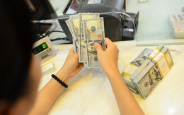 Tin tức sáng 25-6: Quốc hội thông qua nhiều luật, họp công tác nhân sự; Tỉ giá USD lại 'nổi sóng'