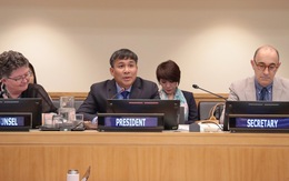 Việt Nam trúng cử ghế chủ tịch hội nghị quan trọng nhất về thực thi 'hiến chương của đại dương'