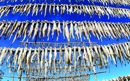 Cá khoai, món ngon khó tính