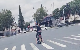 Thanh niên vi phạm luật giao thông bị chim 'đánh'