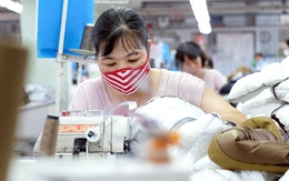 Cơ hội xuất khẩu hàng dệt may và giày dép, nông sản Việt sang Nhật