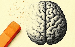 Đừng hỏi AI có thể làm gì cho ta