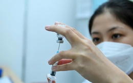 Sốt xuất huyết tại TP.HCM tăng cao với hơn 500 ca/tuần, nhiều trẻ em nguy kịch