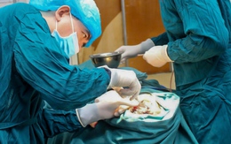 Mặt hoại tử, có giòi vì tự đổ thuốc diệt cỏ ‘khử trùng’ vết thương