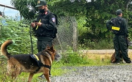 Chó nghiệp vụ giúp công an triệt xóa ổ ma túy của đôi tình nhân lớn tuổi
