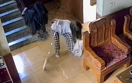 Ba mẹ muốn có rể mà con gái kiểu...