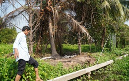 Vụ 'mua đất ở quê để dưỡng già nhưng bị hàng xóm gây khó dễ': Hàng xóm có tiền sử bệnh tâm thần?