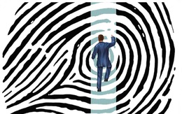 Pháp quyền và dữ liệu cá nhân: Để chính chủ tròn vai