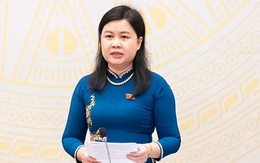 Bà Trương Mỹ Lan có được giảm từ án tử hình xuống chung thân?