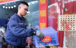 Lương thấp, 73% lao động độc thân ngại cưới, sinh con