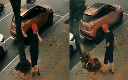 Chàng trai đứng hình vì bị cây xanh bật gốc 'ăn vạ'