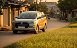 Cây gia đình và bông lúa