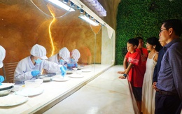 Ra mắt không gian trải nghiệm yến sào đương đại ở Nha Trang