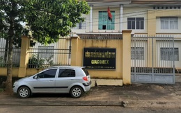 Thanh tra toàn diện Công ty một thành viên Cà phê Gia Lai