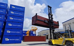 Doanh nghiệp logistics dồn dập đặt mua container ‘made in Vietnam’