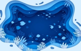 Thử tài tinh mắt: Ngôi sao ẩn giấu ở đâu?