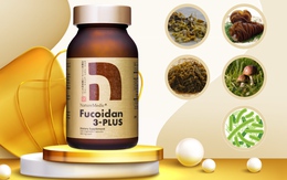 Fucoidan 3-Plus được trao giải vàng Monde Selection