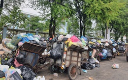 Sao chọn bệnh viện, trường học làm nơi tập kết rác?