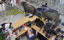 Nóng: Chủ shop thời trang đuổi hai 'khách hàng VIP' ra khỏi cửa hàng