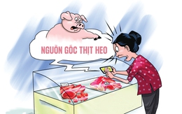 Truy xuất nguồn gốc thịt heo chưa làm người dân thật sự yên tâm