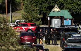 Đi chữa cháy rừng, hai lính cứu hỏa Mỹ bị phục kích thiệt mạng