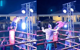 Võ sĩ bị điện giật, rớt xuống khán đài khi đang ăn mừng chiến thắng