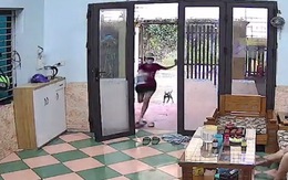 Cô gái chạy mất dép khi bị chó rượt