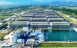 Đề xuất xây hai dự án 'chung cư 6 tầng' nuôi heo đầu tiên tại Việt Nam