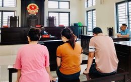 Lãnh án vì sản xuất 5 tấn nhôm giả, ba nhân viên kháng cáo cho rằng 'bỏ lọt tội phạm'