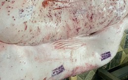 Xác định được người đóng dấu kiểm dịch sai đối với heo bệnh của Công ty C.P. Việt Nam