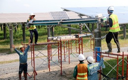 Xử lý vướng mắc giá FIT năng lượng tái tạo: Bộ Công Thương nói do trách nhiệm của EVN