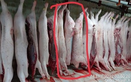 Người 'tố' Công ty C.P. bán thịt heo bệnh tiếp tục cung cấp hình ảnh cho cơ quan chức năng