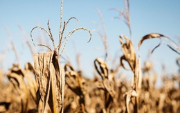 Bầu khí quyển Trái đất đang trở nên 'khát' hơn