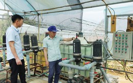 Ứng dụng công nghệ vào sản xuất