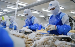 Mức thuế chống bán phá giá tôm Việt Nam vào Mỹ tăng đột biến, doanh nghiệp kêu oan