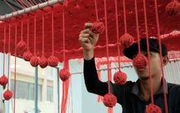 Chúng tôi sáng tạo dựa trên thiên nhiên, nhuộm vải từ thực vật, dệt vải từ vi khuẩn