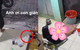 Cô gái ngã đau vì sợ gián