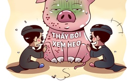 Thầy bói xem heo: Bệnh hay không bệnh?