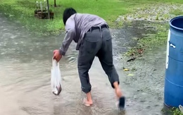 Chàng trai bắt cá vượt cạn mỏi tay sau cơn mưa lớn