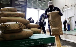 Khủng hoảng gạo tại Nhật Bản, gạo Việt Nam là 1 giải pháp