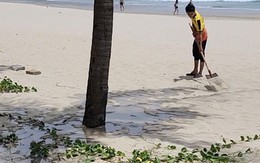 Người dân tắm biển nghe mùi hôi thối, Đà Nẵng phạt 1 resort ven biển hơn 224 triệu đồng