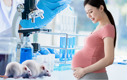 Mẹ thiếu sắt khi mang thai có thể khiến giới tính con bị thay đổi