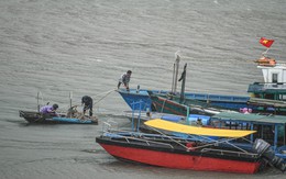 Thời tiết hôm nay 10-6: Bắc Biển Đông áp thấp, Bắc Bộ, Nam Bộ mưa to