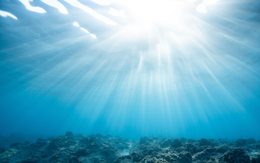 'Quả bom hẹn giờ' dưới biển: Đại dương đang axit hóa vượt ngưỡng an toàn toàn cầu