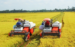 Tổng điều tra nông thôn, nông nghiệp toàn quốc