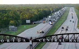 Mỹ: Cố cứu rùa trên cao tốc dẫn đến tai nạn liên hoàn, một người thiệt mạng