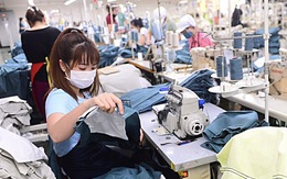 Dệt may muốn tăng tự chủ nguyên liệu