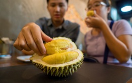 Vô lý tin đồn uống rượu với sầu riêng gây chết người