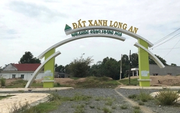 Triệu tập 967 bị hại xét xử vụ lừa đảo Đất Xanh Long An, Hưng Thịnh Cát Tường, Thiên Phúc Hoàng Gia