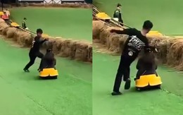 Chàng trai quay video cho khách 'nghệ cả củ'